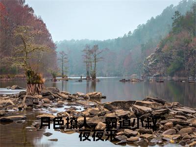 月色撩人,霸道小叔夜夜来全文免费阅读无弹窗大结局_(萧染商酌言)月色撩人,霸道小叔夜夜来完整版全文在线赏析
