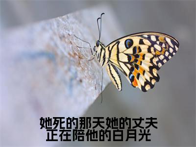 姜尔凌钦淮小说(她死的那天她的丈夫正在陪他的白月光)全文免费阅读无弹窗大结局_她死的那天她的丈夫正在陪他的白月光最新章节列表_笔趣阁(姜尔凌钦淮)