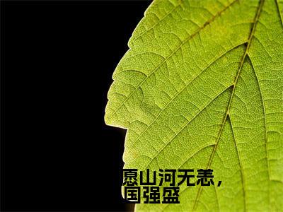 此生惟愿山河无恙，祖国强盛免费阅读沈慕乔陆淮安最新章节目录