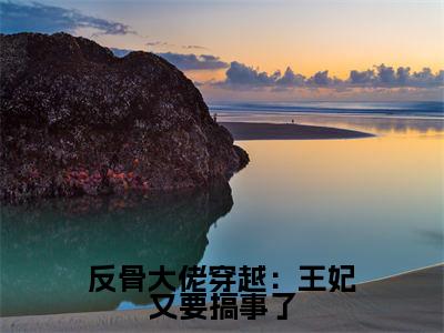 《战璟宸堂溪洛》全文免费阅读无弹窗大结局-反骨大佬穿越:王妃又要搞事了无弹窗阅读