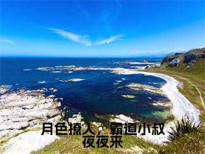 主角为商酌言萧染的小说精彩阅读-月色撩人,霸道小叔夜夜来最新章节阅读