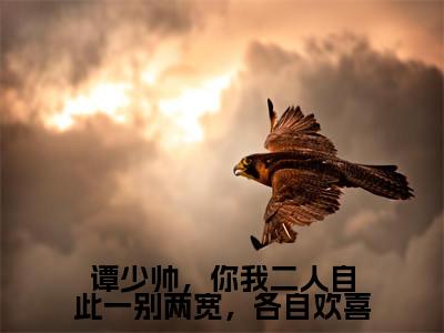 谭少帅,你我二人自此一别两宽,各自欢喜(谭姜霖陆林染)小说全文免费阅读无弹窗大结局_谭少帅,你我二人自此一别两宽,各自欢喜最新章节列表