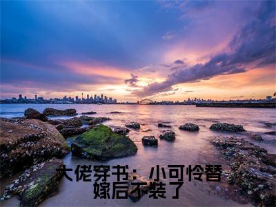 大佬穿书:小可怜替嫁后不装了全文免费阅读无弹窗大结局-箫筝无弹窗阅读