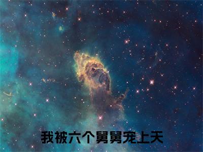 小说名字是:我被六个舅舅宠上天小说免费阅读无弹窗,小说名字是:雪宝的小说在线阅读无删减