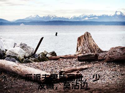 反派夫妻皆疯批,少发癫,莫沾边(师如月诸葛青云全章节完整版)免费阅读_反派夫妻皆疯批,少发癫,莫沾边(师如月诸葛青云)最新章节列表笔趣阁