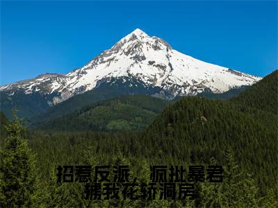 招惹反派,疯批暴君掳我花轿洞房全文免费阅读无弹窗大结局-林立夏姬慎小说在哪里可以看