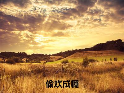 偷欢成瘾(白薇荆墨洲)小说全文免费阅读无弹窗-偷欢成瘾全章节在线阅读(白薇荆墨洲免费+后续)