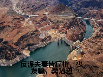 师如月诸葛青云为反派夫妻皆疯批,少发癫,莫沾边的小说叫什么-最新小说反派夫妻皆疯批,少发癫,莫沾边全文阅读