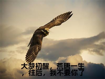 大梦初醒，荒唐一生，往后，我不要你了（许辞纾赵焱钦）全集免费阅读无弹窗_大梦初醒，荒唐一生，往后，我不要你了正版小说免费阅读