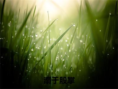 溺于股掌是什么小说-（宋轻臣黎嫚）溺于股掌无弹窗免费阅读大结局最新章节列表_笔趣阁
