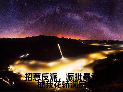 招惹反派，疯批暴君掳我花轿洞房（林立夏姬慎精彩美文）免费阅读-小说林立夏姬慎最后结局如何