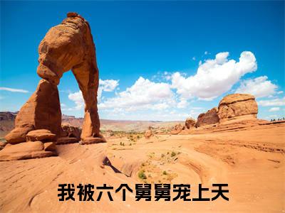 雪宝小说全文免费阅读_(雪宝)我被六个舅舅宠上天小说最新章节列表笔趣阁