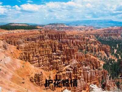 护花惊情(韩静姝顾北川)全文免费阅读无弹窗大结局_(护花惊情)已完结全集大结局小说