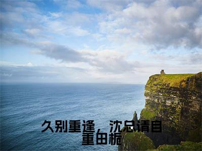 久别重逢,沈总请自重田栀(田栀沈鸣朗)多人推荐阅读-精选小说(田栀沈鸣朗)完整版免费阅读