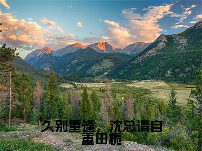 久别重逢,沈总请自重田栀(田栀沈鸣朗)小说全文免费阅读无弹窗大结局_久别重逢,沈总请自重田栀小说免费阅读最新章节列表笔趣阁(田栀沈鸣朗)