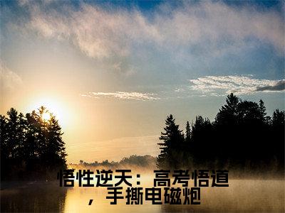 小说(悟性逆天:高考悟道,手撕电磁炮)在线赏析_苏勤txt小说在线阅读笔趣阁