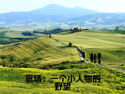 官场：一个小人物的野望小说（杜玉峰吴若兰）全文免费阅读_（杜玉峰吴若兰）官场：一个小人物的野望最新章节列表笔趣阁
