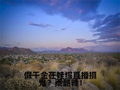 假千金在娃综直播抓鬼?泰酷辣!新书热荐免费小说简衿顾廷煜-小说简衿顾廷煜大结局