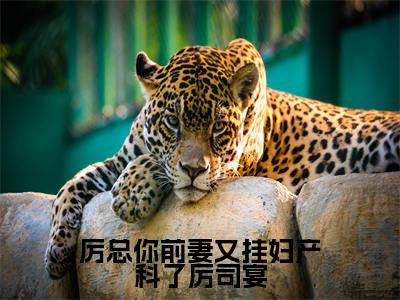 厉总你前妻又挂妇产科了厉司宴小说全文免费阅读-姜南韵厉司宴小说最新章节列表