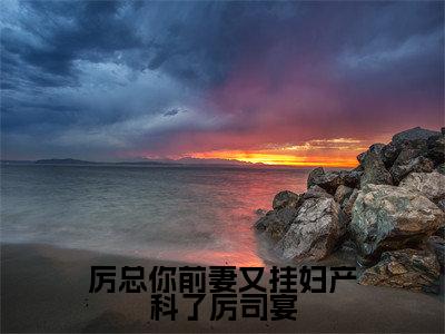 厉总你前妻又挂妇产科了厉司宴(姜南韵厉司宴)全文免费阅读_姜南韵厉司宴正版小说全文阅读
