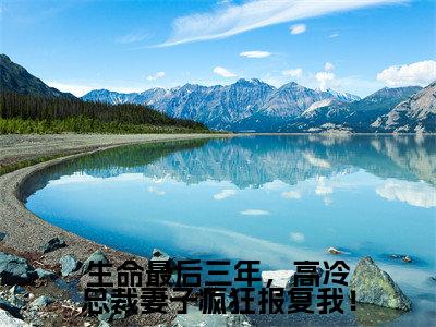 生命最后三年,高冷总裁妻子疯狂报复我!小说全文-晏隋蒋琬无弹窗免费阅读
