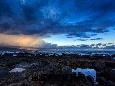 逍遥布衣侯杨泰无广告小说(杨泰)全文免费阅读无弹窗大结局-逍遥布衣侯杨泰在线阅读