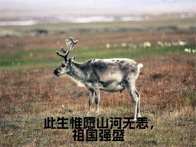 小说《此生惟愿山河无恙,祖国强盛》全文免费阅读无弹窗-陆淮安沈慕乔小说全文在线赏析_笔趣阁