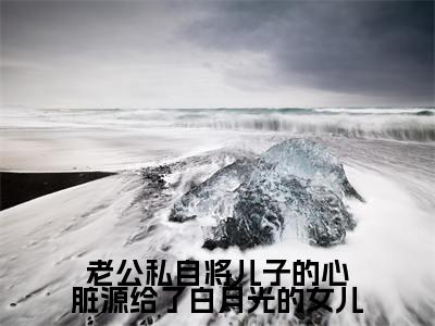 姜晓柠季承礼(老公私自将儿子的心脏源给了白月光的女儿)免费全文阅读小说_(姜晓柠季承礼)老公私自将儿子的心脏源给了白月光的女儿最新章节列表