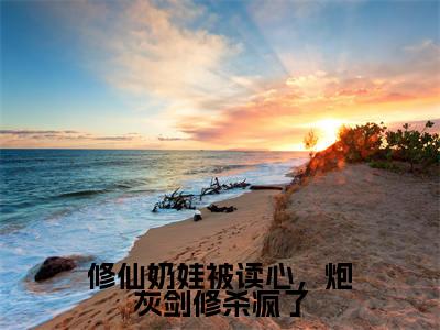 主角是苏禾的小说-修仙奶娃被读心,炮灰剑修杀疯了全章节在线阅读