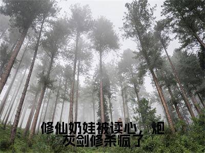 修仙奶娃被读心,炮灰剑修杀疯了小说全文在线赏析苏禾小说免费阅读全文大结局