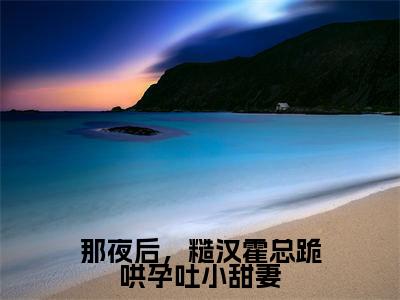 那夜后,糙汉霍总跪哄孕吐小甜妻(霍晞沈夏梨小说)全文免费阅读无弹窗大结局_那夜后,糙汉霍总跪哄孕吐小甜妻小说霍晞沈夏梨列表