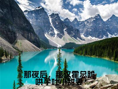 霍晞沈夏梨(那夜后,糙汉霍总跪哄孕吐小甜妻)在哪免费看-小说(那夜后,糙汉霍总跪哄孕吐小甜妻)全文完整版免费阅读霍晞沈夏梨