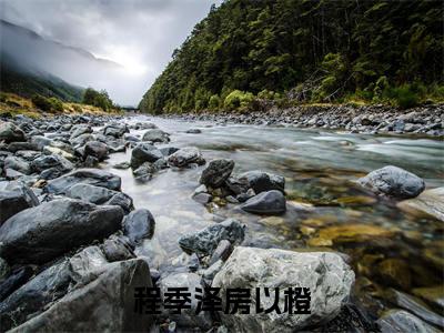 程季泽房以橙(房以橙程季泽)全文免费阅读无弹窗大结局_(程季泽房以橙)房以橙程季泽最新章节列表_笔趣阁