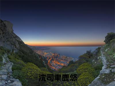 沈司聿鹿悠(沈司聿鹿悠)全文免费阅读无弹窗-(沈司聿鹿悠)沈司聿鹿悠小说全文在线赏析