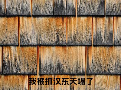 江舟(我被抓汉东天塌了)免费小说完整版阅读-(江舟)最新章节在线阅读