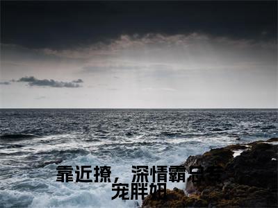 靠近撩，深情霸总专宠胖妞（沈凌薇小说）全文免费阅读无弹窗大结局_靠近撩，深情霸总专宠胖妞最新章节