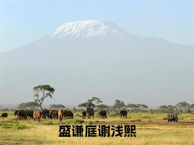 盛谦庭谢浅熙(盛谦庭谢浅熙)全文免费阅读无弹窗大结局_(盛谦庭谢浅熙)章节列表_笔趣阁