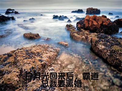 傅景琛慕童全文免费阅读大结局白月光回来后，霸道总裁要离婚最新章节列表