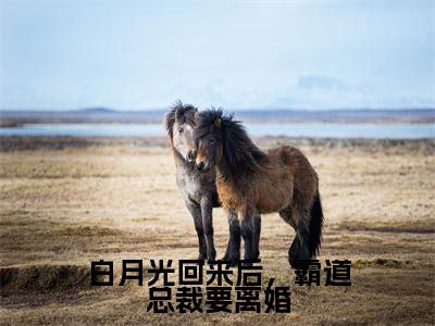 傅景琛慕童全文免费阅读-白月光回来后,霸道总裁要离婚最新章节小说免费阅读