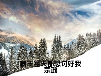 病王每天都想讨好我宗政(云风汐宗政墨曜)全文免费阅读无弹窗大结局_病王每天都想讨好我宗政(病王每天都想讨好我宗政)免费在线阅读最新章节列表笔趣阁