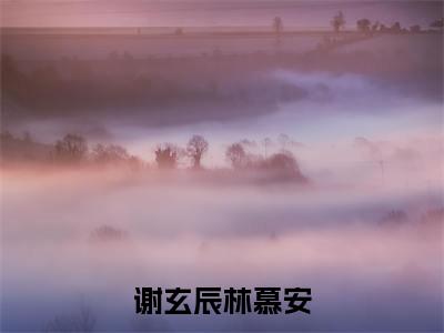 谢玄辰林慕安(谢玄辰林慕安)全文免费阅读-(谢玄辰林慕安小说)谢玄辰林慕安最新章节列表