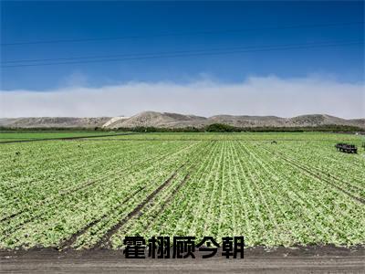 霍栩顾今朝全文(顾今朝霍栩)全文免费阅读无弹窗大结局_霍栩顾今朝全文最新章节列表_笔趣阁(顾今朝霍栩)