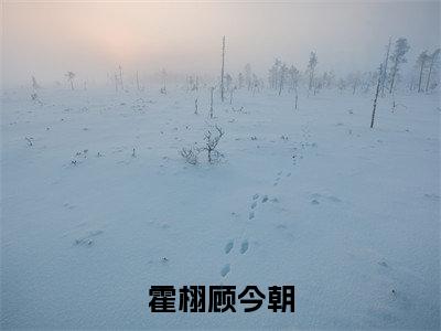 (霍栩顾今朝)顾今朝霍栩小说小说全文免费顾今朝霍栩读最新章节列表笔趣阁(霍栩顾今朝)
