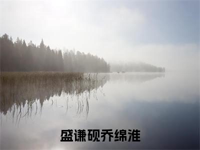 盛谦砚乔绵淮(乔绵淮盛谦砚)小说全文免费阅读无弹窗_(乔绵淮盛谦砚)盛谦砚乔绵淮小说全文免费阅读最新章节列表笔趣阁