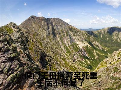 侯门主母操劳至死重生后不伺候了(沈青鸾)小说全文免费阅读完整版-侯门主母操劳至死重生后不伺候了免费在线阅读大结局(沈青鸾)