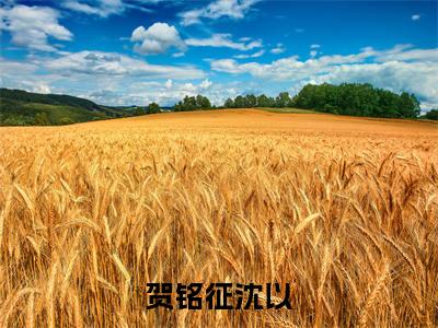 沈以贺铭征全文免费阅读大结局贺铭征沈以最新章节列表（全文）+（番外）