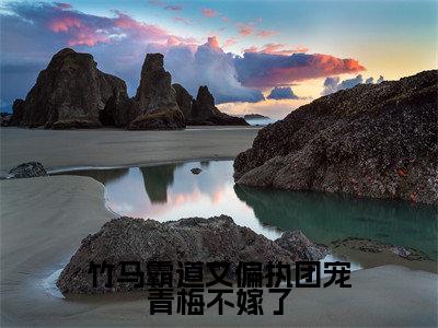 竹马霸道又偏执团宠青梅不嫁了(师云意贺一叙)全文免费阅读无弹窗大结局_竹马霸道又偏执团宠青梅不嫁了全文免费阅读