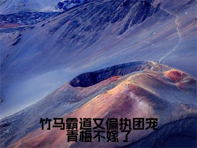 竹马霸道又偏执团宠青梅不嫁了(师云意贺一叙)小说全文免费_竹马霸道又偏执团宠青梅不嫁了(师云意贺一叙)最新章节目录笔趣阁