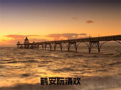鹤安阮清欢(鹤安阮清欢小说全文)在线阅读无弹窗大结局-鹤安阮清欢全文无删减版阅读