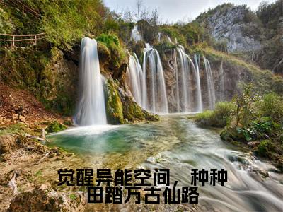 小说觉醒异能空间,种种田踏万古仙路完整版在线阅读夏玉瑶精选小说推荐试读